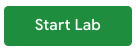 start lab button