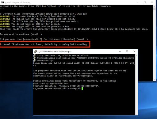 Output showing external IP address not found