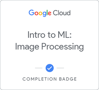 Intro to ML: Image Processing徽章