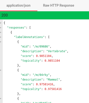 Los resultados del análisis de la API de Cloud Vision.