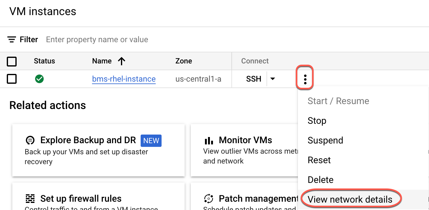 VM instances page