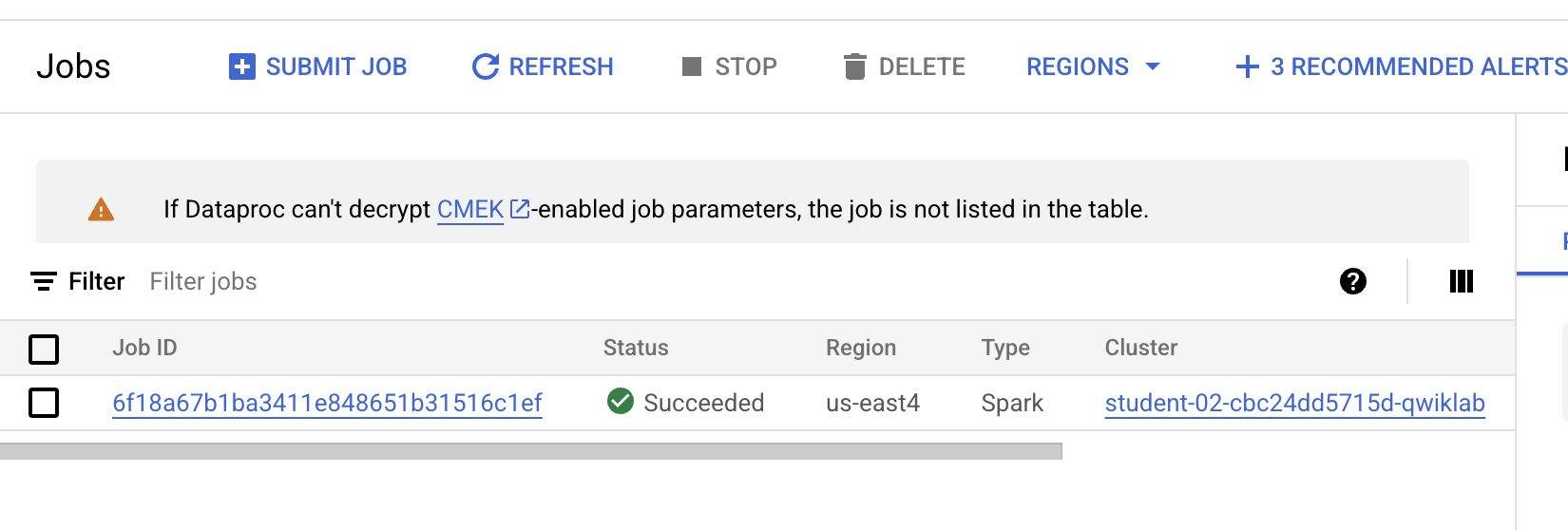 The jobs output displays a succeeded status