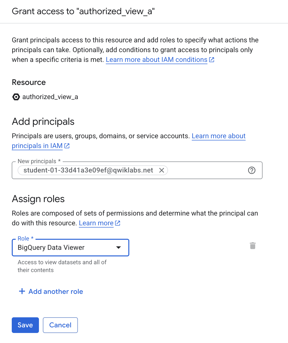 add bigquery data viewer principal