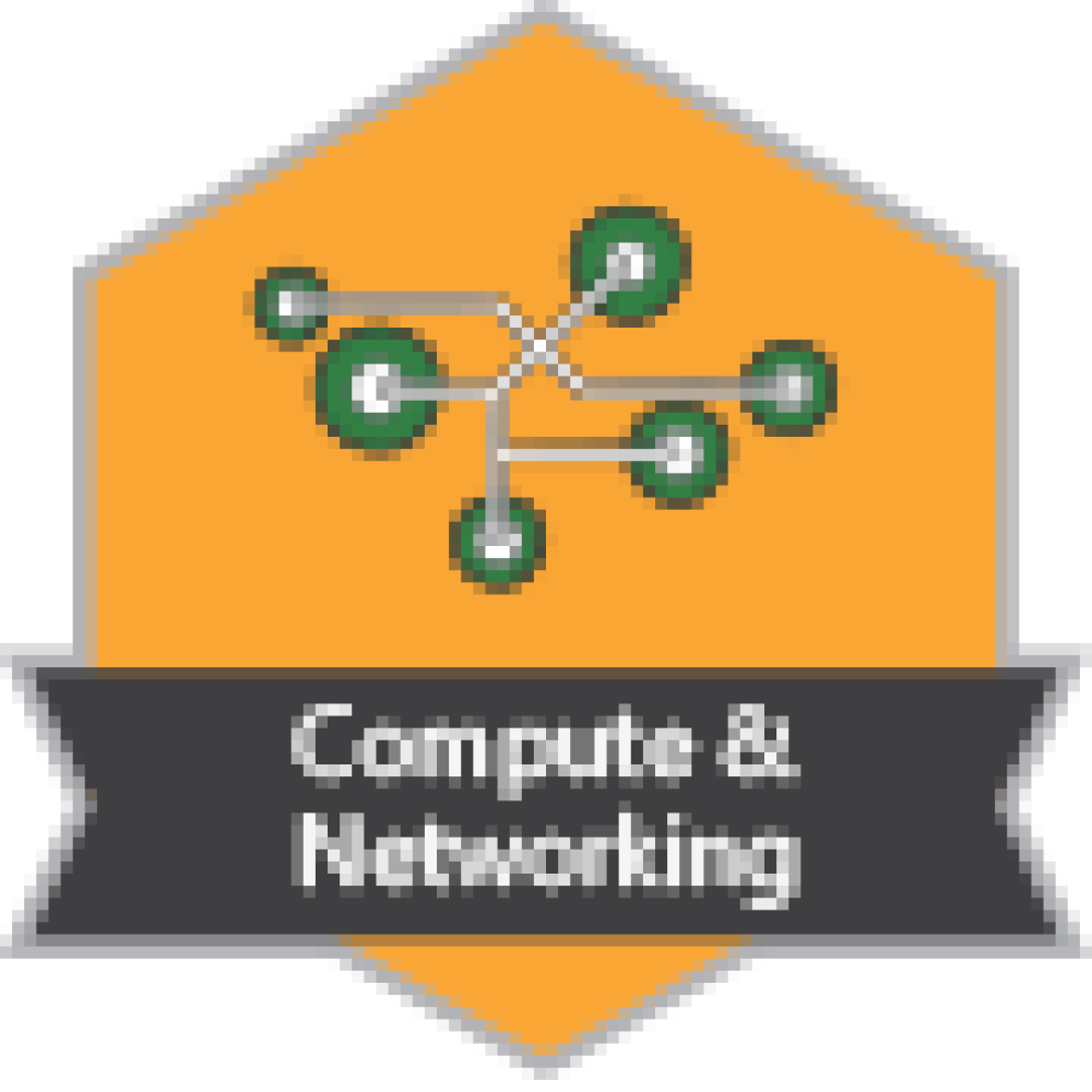 Badge for Compute & Networking