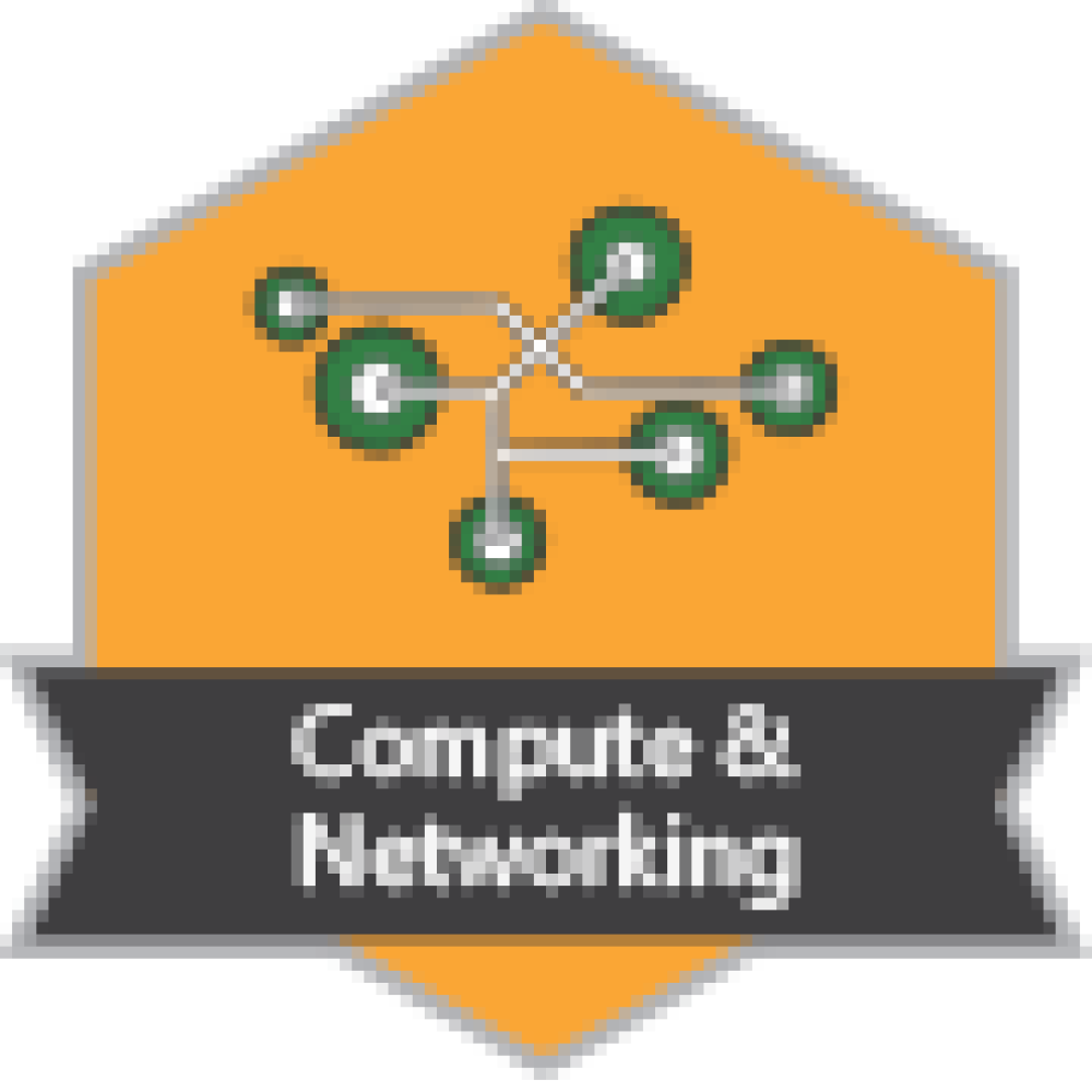 Badge für Compute & Networking