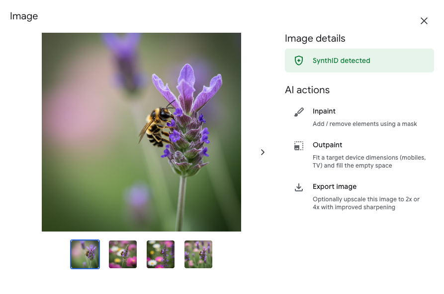 Image details