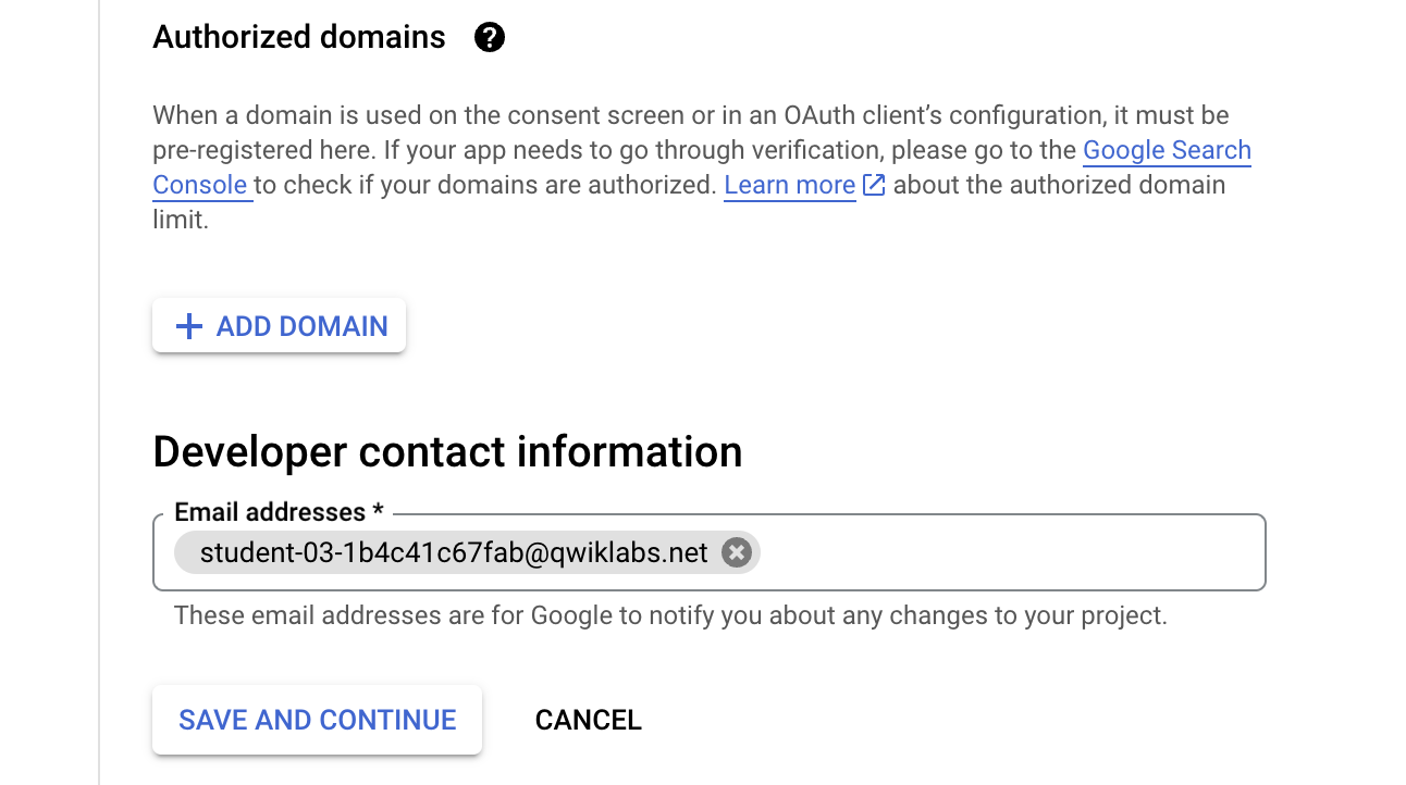 OAuth consent screen app information