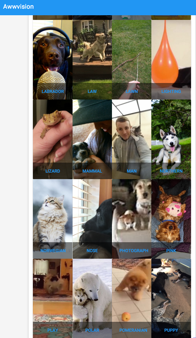 Awwvision web page displaying several photo tiles