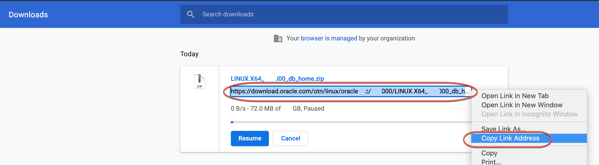 Deploying the Oracle on Bare Metal Solution | Google Cloud Skills Boost