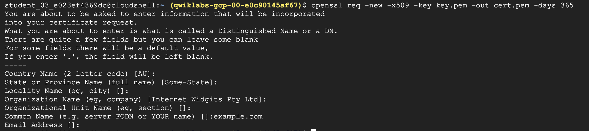 Public key certificate