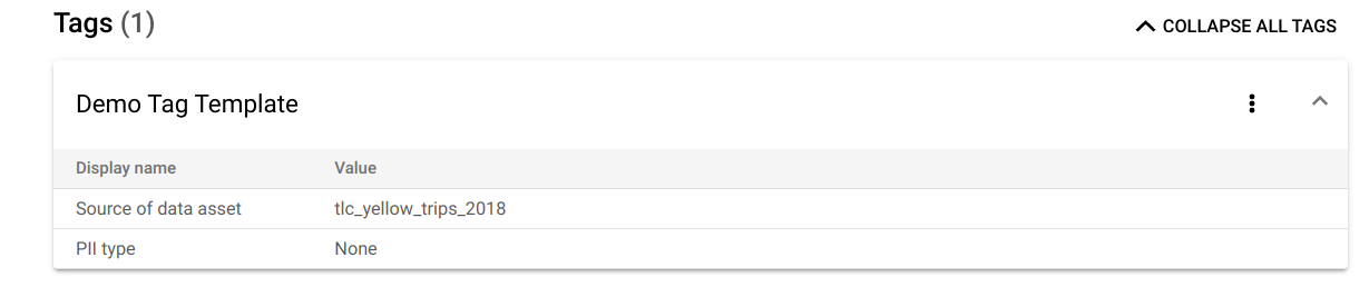 A página &quot;Detalhes da entrada&quot;, que inclui o nome de exibição do Modelo de tag de demonstração, a fonte dos recursos de dados e o tipo de PII.