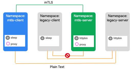 The mTLS Istio STRICT diagram
