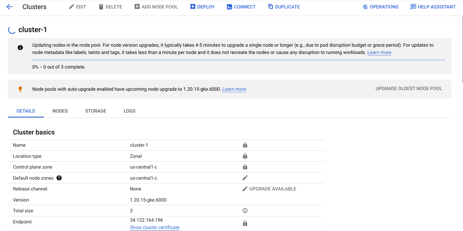 cluster-1 Details tabbed page
