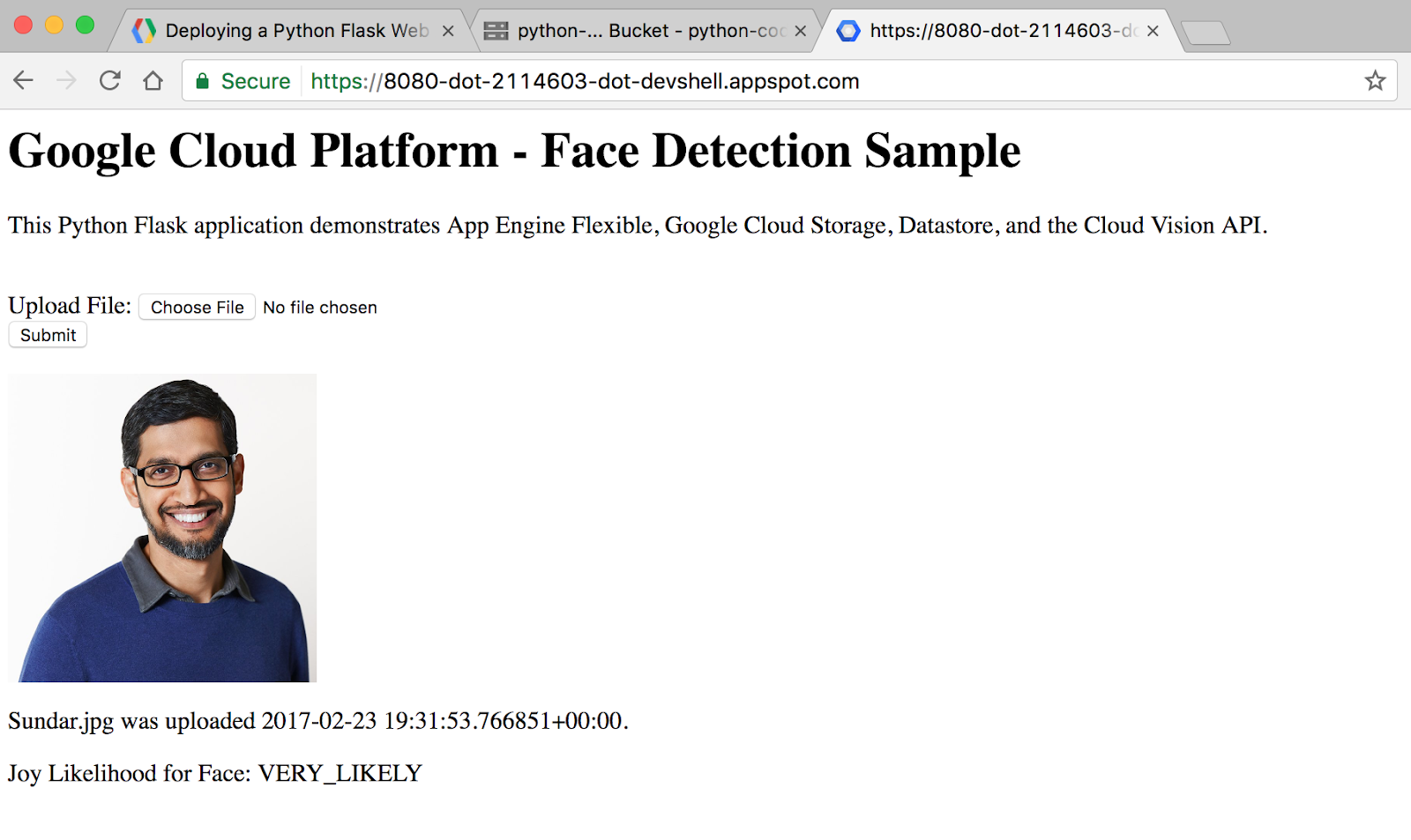 Face Detection Sample page