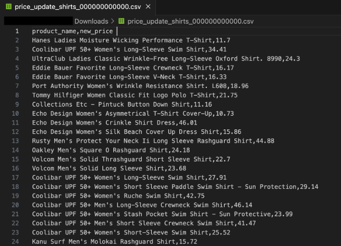 CSV Report with 24 lines of data