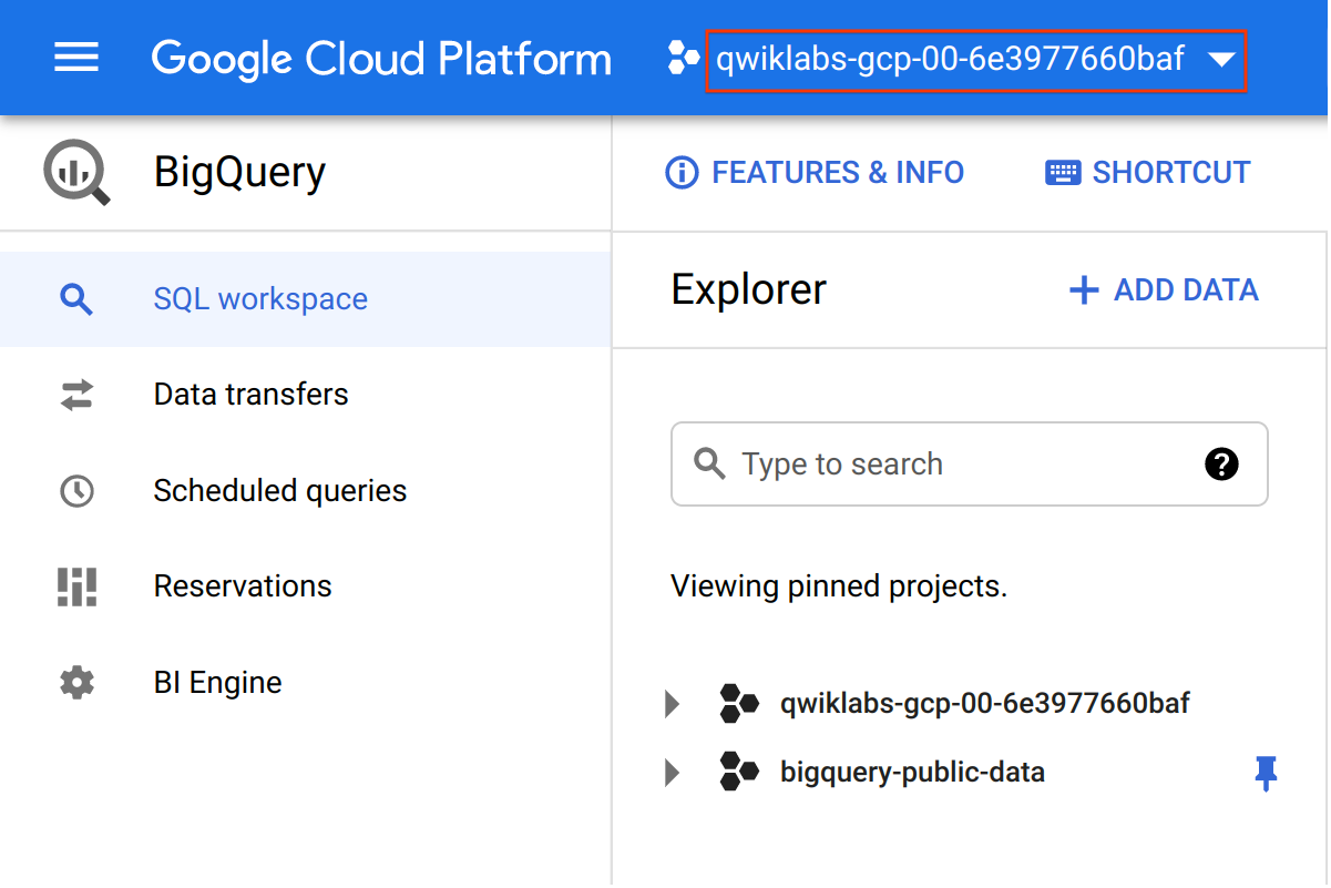 專案欄位顯示 Google Cloud 技能重點加強專案的名稱