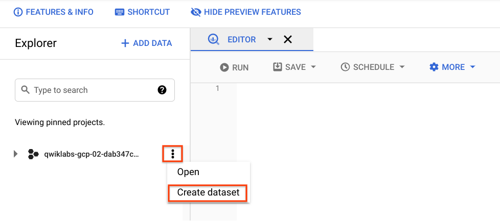 The option 'Create dataset' highlighted within the project menu.