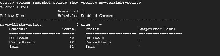 The command output