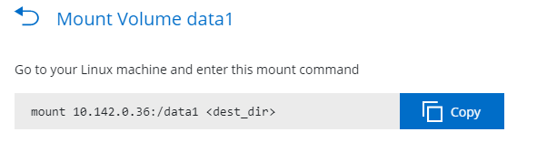 The mount command displayed on the Mount Volume data1 page