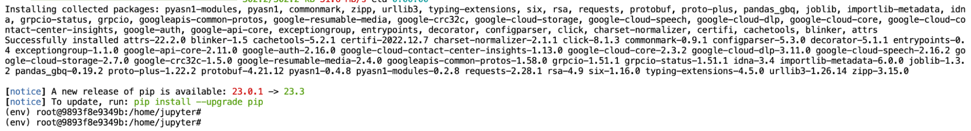 Terminal Output 1