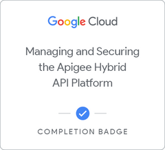 Managing And Securing The Apigee Hybrid API Platform | Google Cloud ...