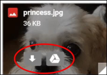 Aperçu d&#39;une image avec les boutons &quot;Télécharger&quot; et &quot;Ajouter à Drive&quot;