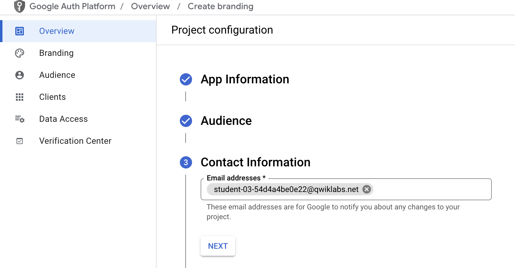 OAuth consent screen app information