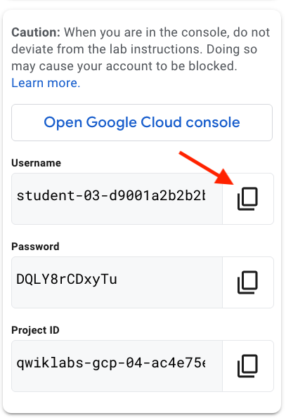 Copy username