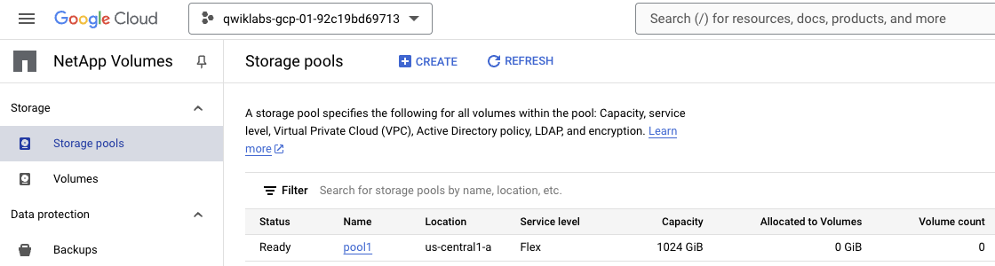 Verify that the NetApp Volumes Storage Pool creation has finished.