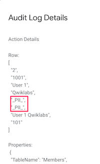 PII column data highlighted within the Audit Log Details.