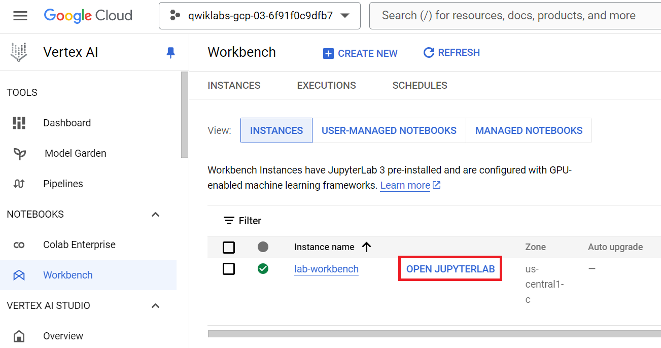 Open JupyterLab