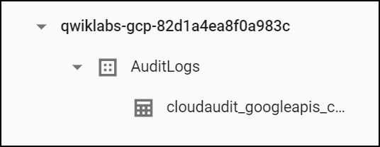 cloudaudit table in the AuditLogs dataset