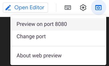 Web preview icon and Preview on port 8080 option highlighted
