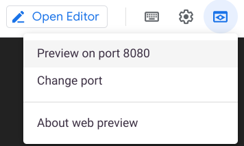 Web önizlemesi simgesi ve Preview on port 8080 (Bağlantı noktası 8080&#39;de önizle) seçeneği vurgulanıyor