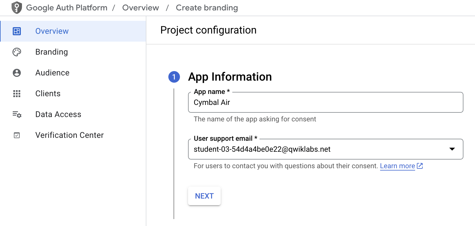 OAuth consent screen app information next page
