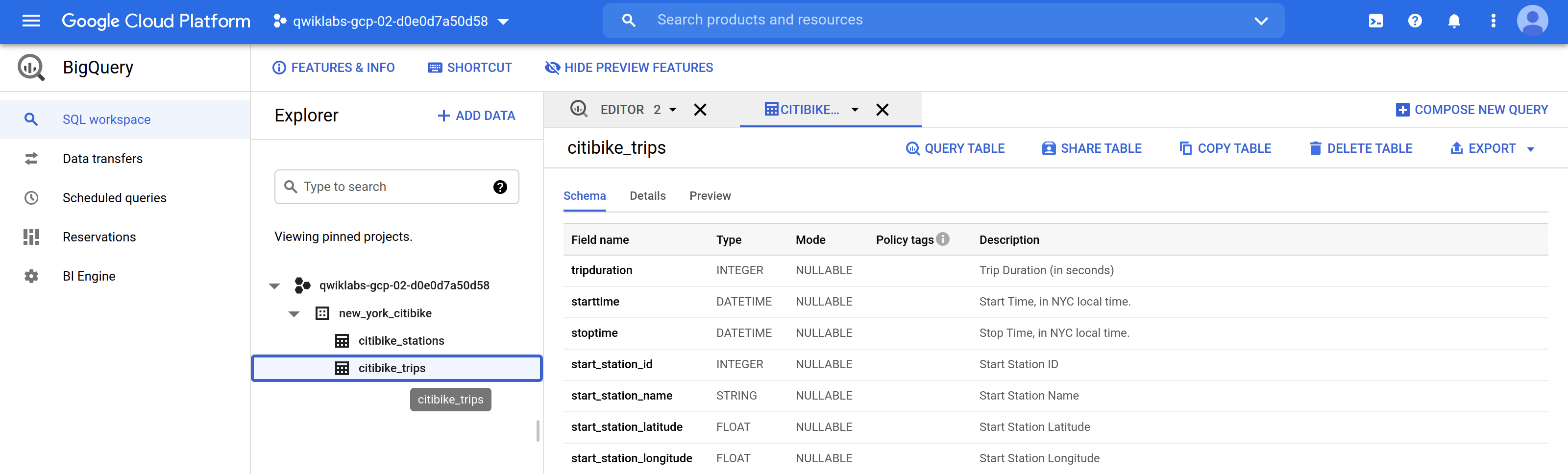 The citibike_trips schema table