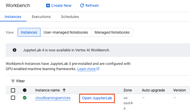 Workbench Instance Deployed