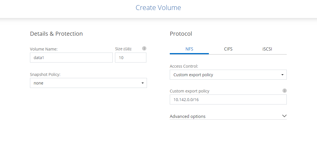 Create Volume page with two sections: Details & Protection, and Protocol