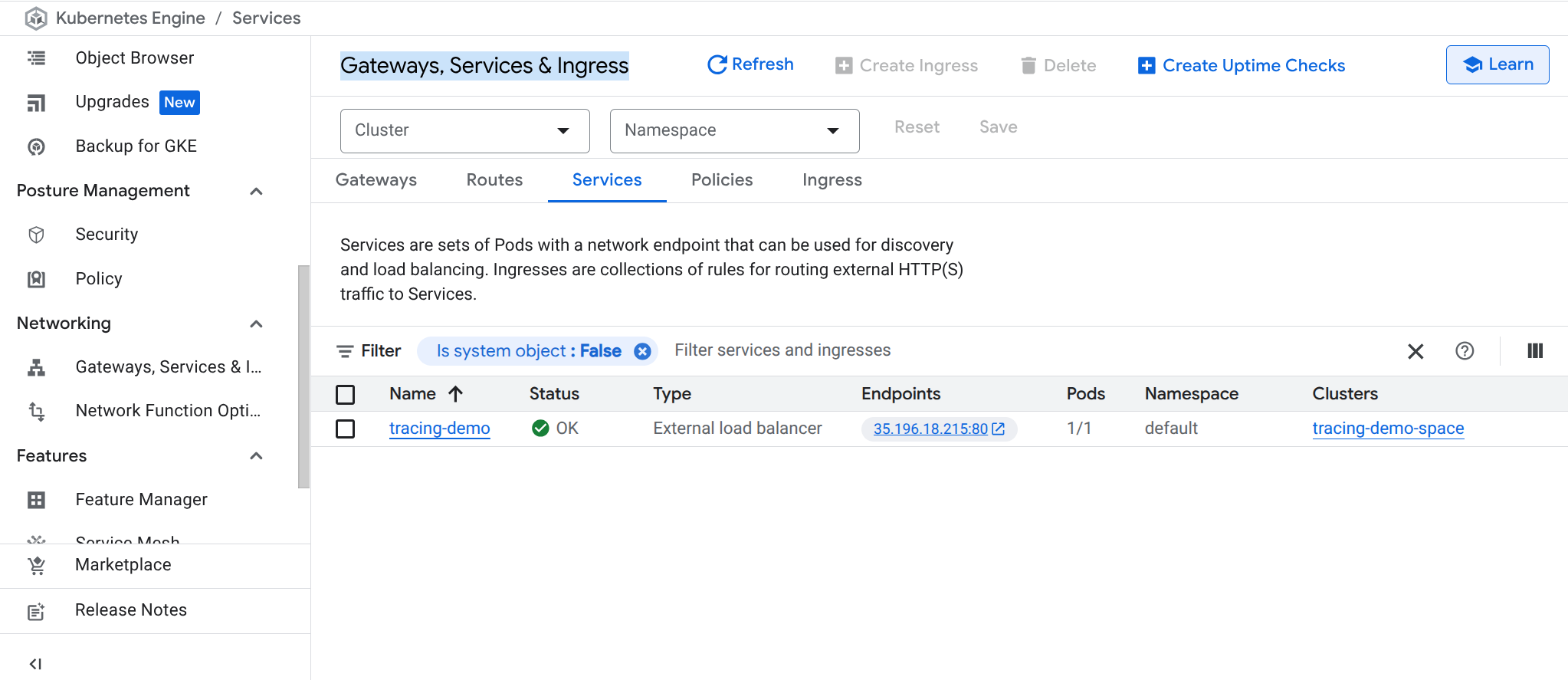 The Services tabbed page, with the tracing-demo listed along with its specifications.