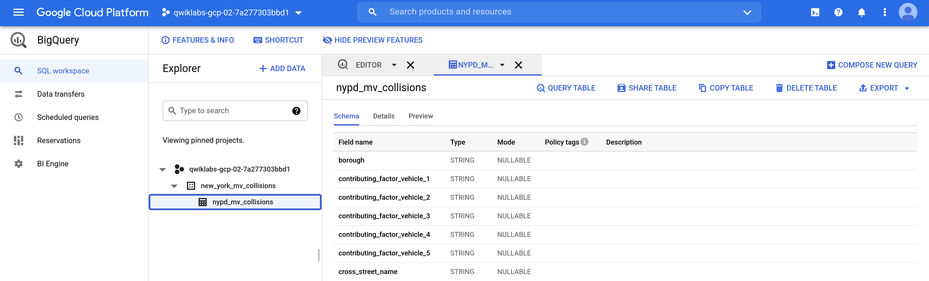 Schema tabbed page displaying fields in the nypd_mv_collisions table schema