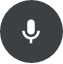 Microphone button