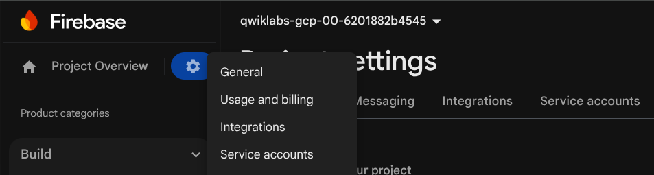 Firebase Project Setting