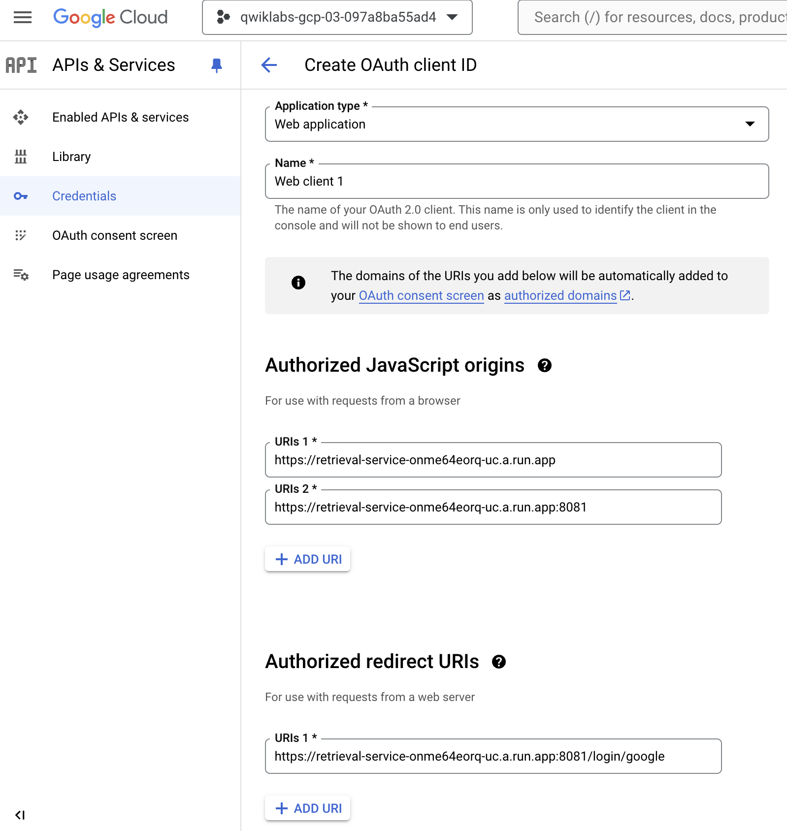 OAuth consent screen app information