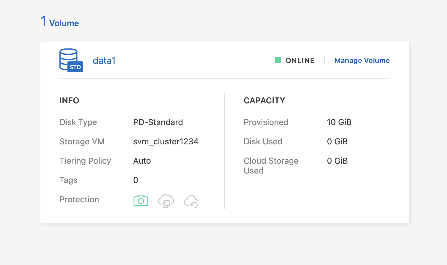 data1 box displaying the info details Disk Type, Tiering Policy, and Backup, as well as the Capacity