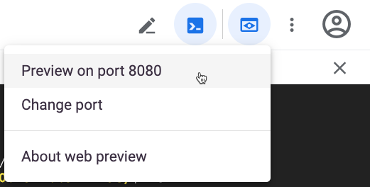 Web preview option 'Preview on port 8080'.
