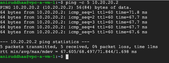 Command line terminal displaying ping statistics