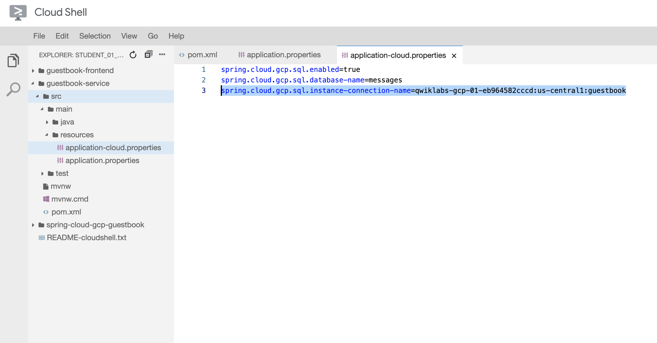 Cloud Shell spring.cloud code string