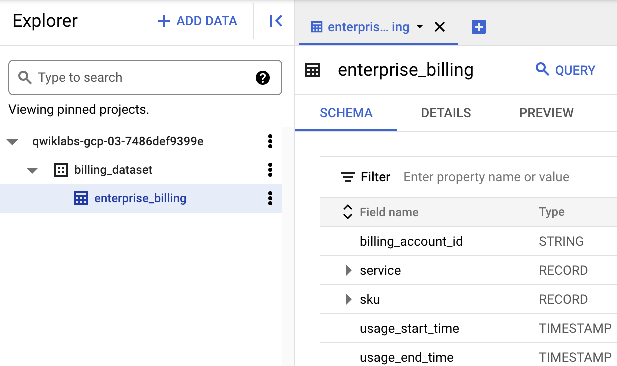 Schema tabbed page