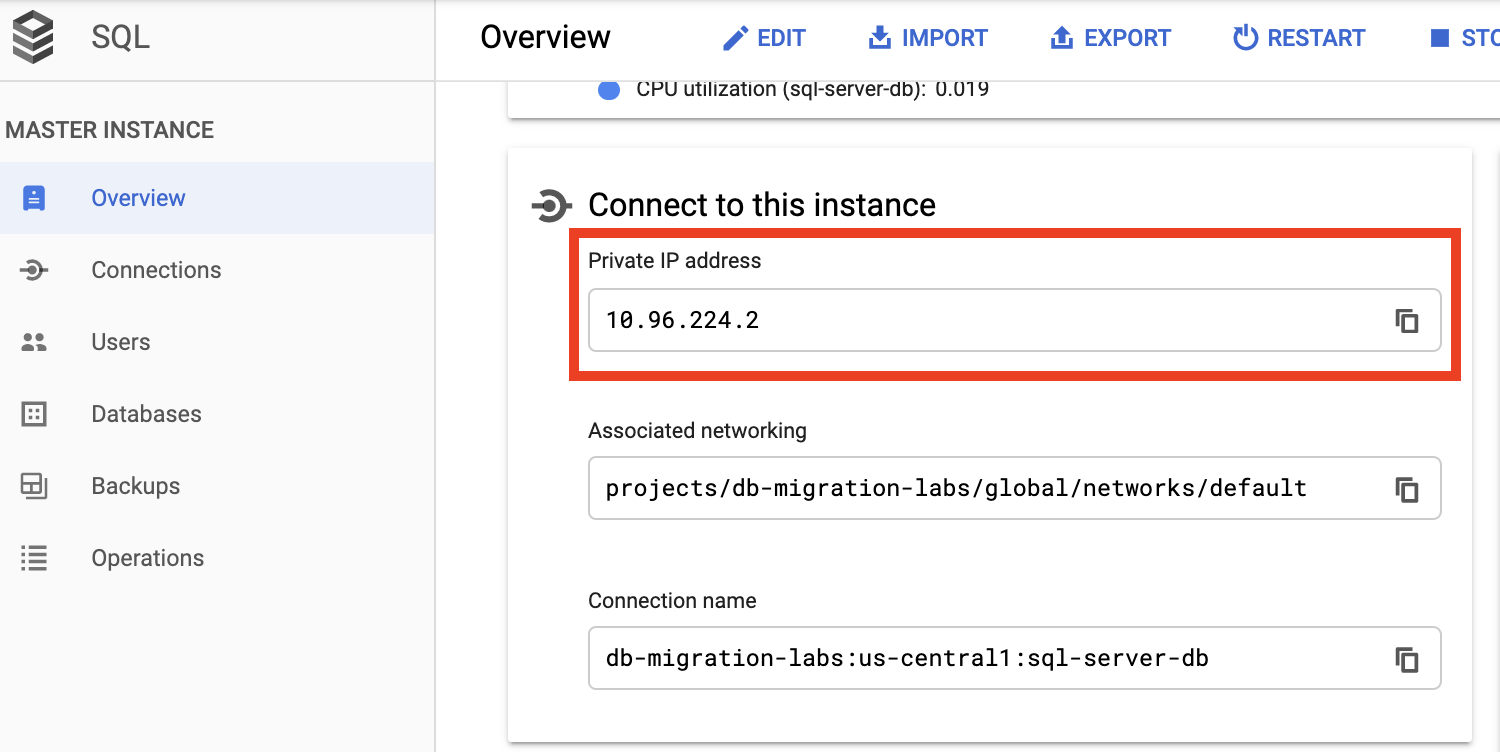 The Overview page, which includes the highlighted Private IP address 10.96.224.2.