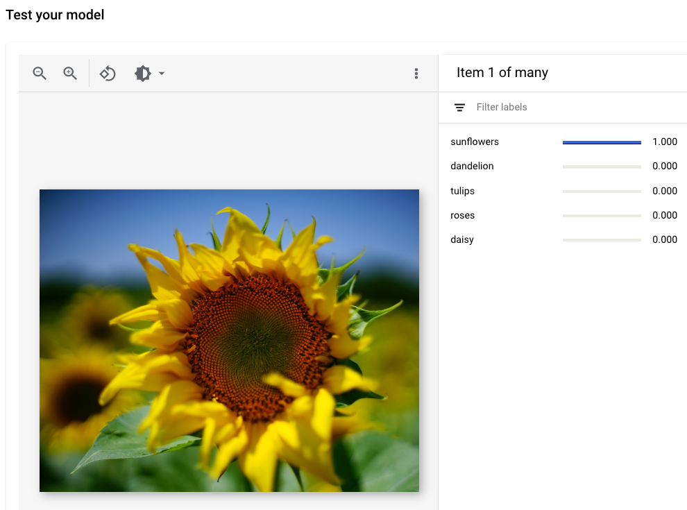 The Test your model page, which includes an image and the Filter labels panel with several filters listed.